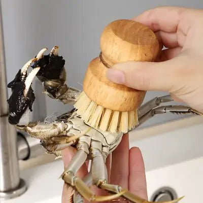 Brosse à vaisselle - KitchenDishBrush™ - Sisal - SmartClean Innovation